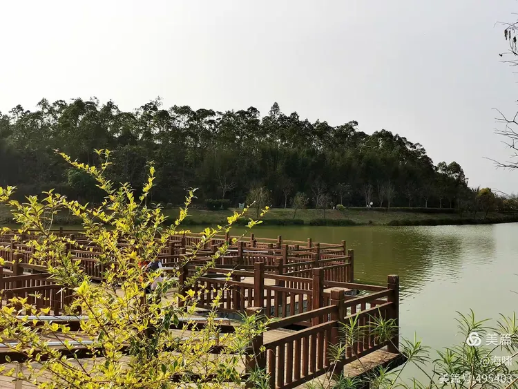 台山市金星湖湿地公园